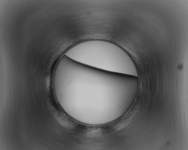 X0000102470206200808081017