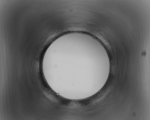 X0000102470207200808081017