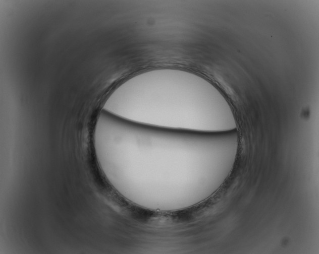 X0000102470211200808081017
