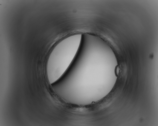 X0000102470212200808081017