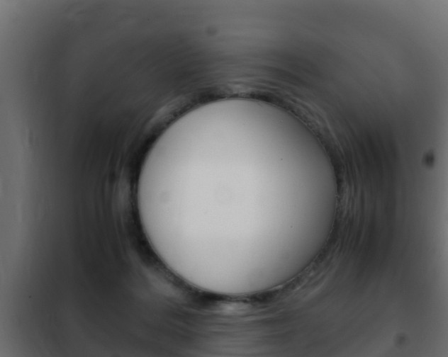 X0000102470220200808081016