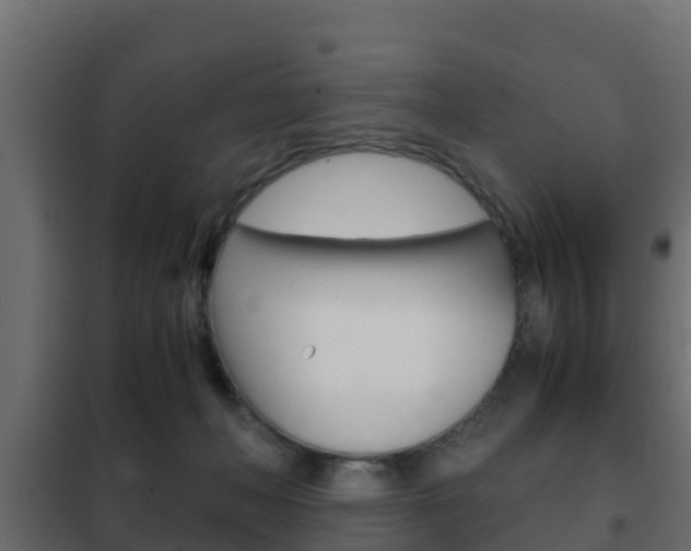 X0000102470222200808081016