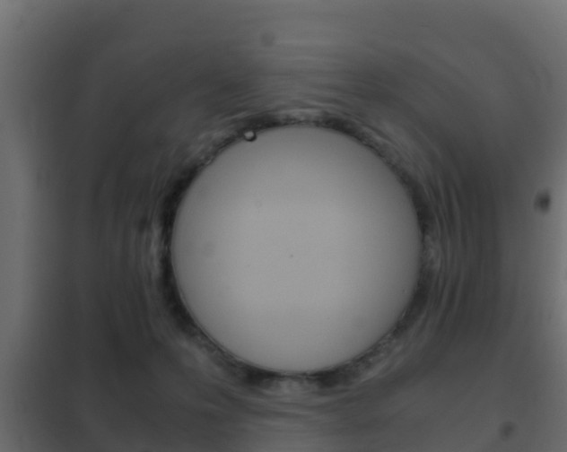 X0000102470223200808081016