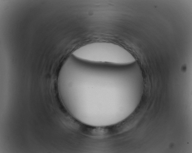 X0000102470225200808081016