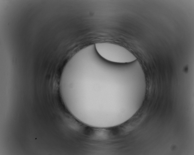 X0000102470226200808081016