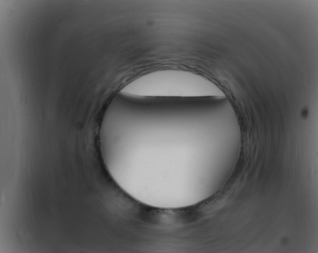 X0000102470229200808081016