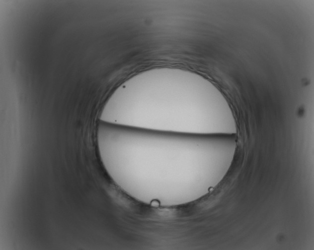 X0000102470233200808081016