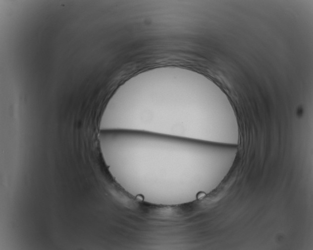 X0000102470237200808081016