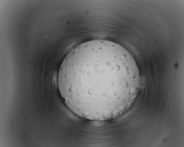 X0000102470238200808081016