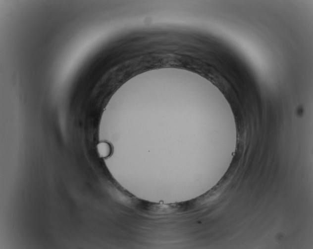 X0000102470239200808081016