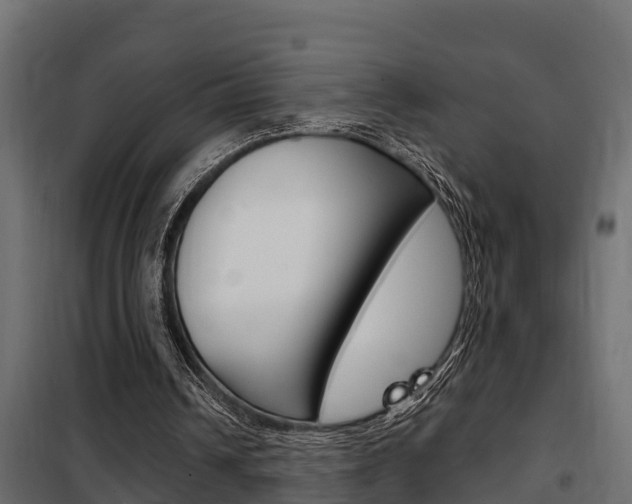 X0000102470242200808081016