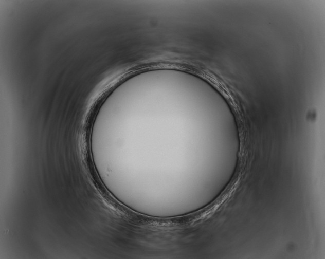 X0000102470245200808081016