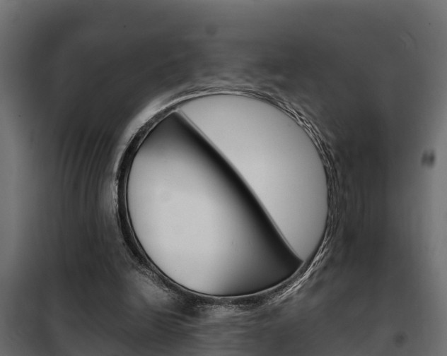 X0000102470246200808081016