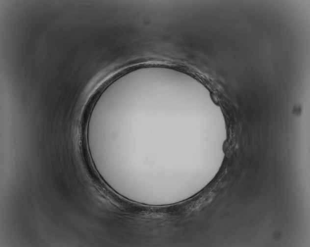 X0000102470247200808081016