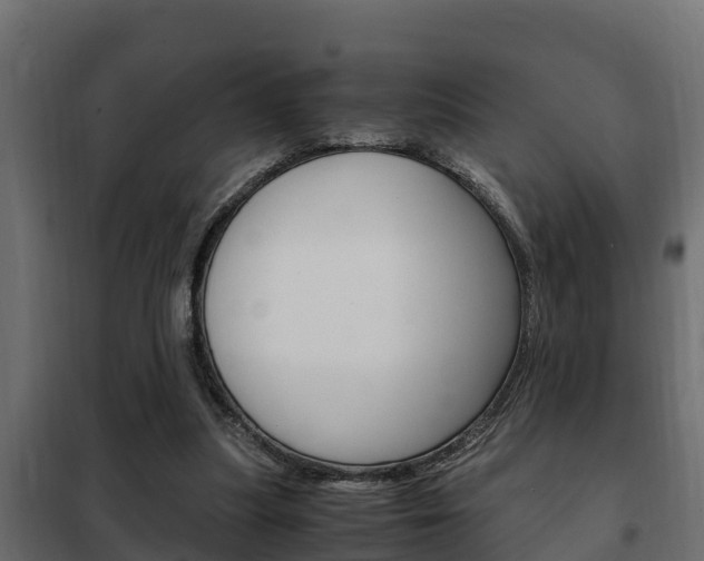 X0000102470251200808081016