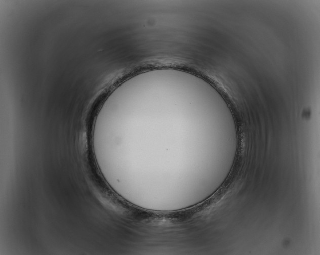 X0000102470254200808081016