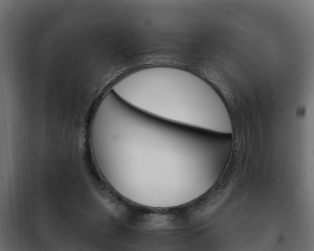 X0000102470255200808081016