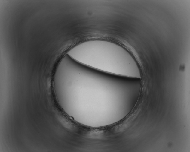 X0000102470257200808081016