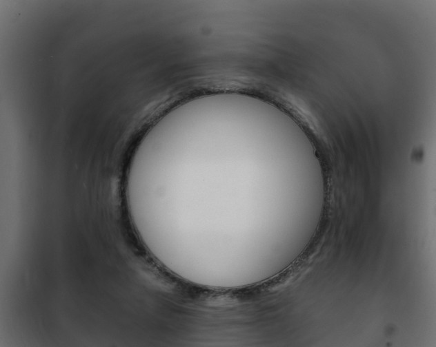 X0000102470258200808081016