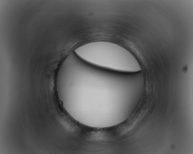 X0000102470259200808081016