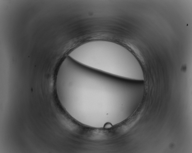 X0000102470261200808081016