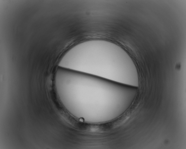 X0000102470264200808081016