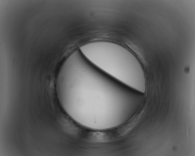 X0000102470265200808081016