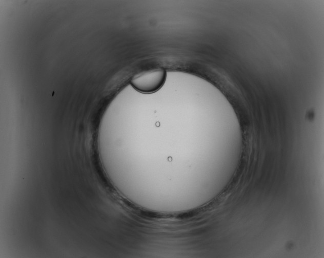 X0000102470266200808081016