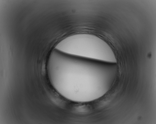X0000102470267200808081016