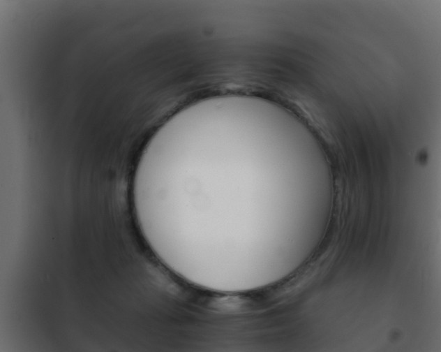 X0000102470269200808081016
