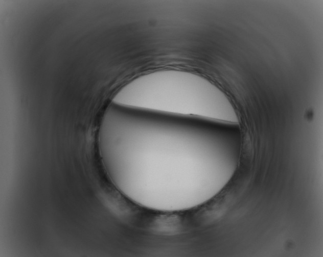 X0000102470271200808081016
