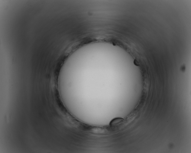 X0000102470272200808081016