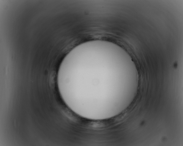X0000102470275200808081016