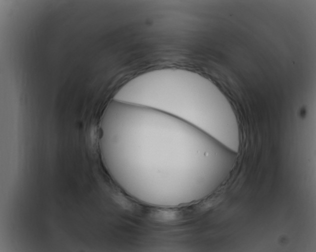 X0000102470276200808081016