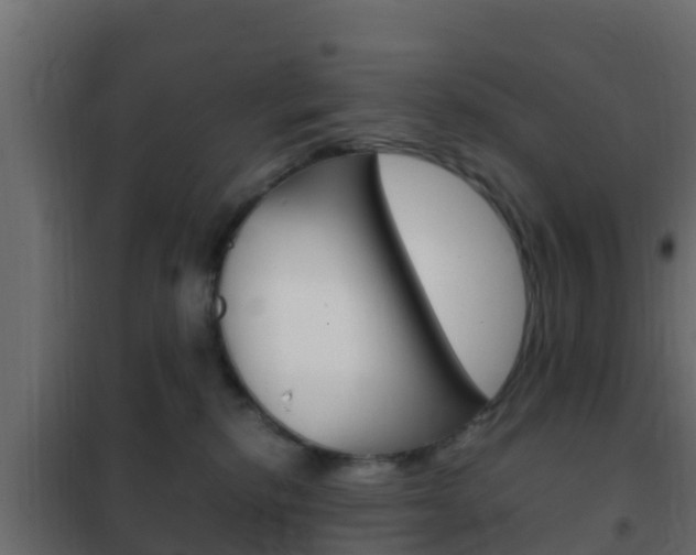 X0000102470278200808081016
