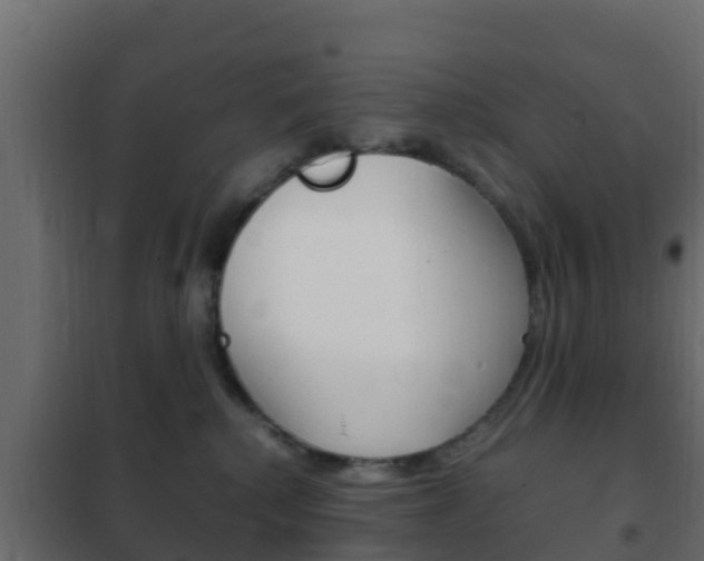 X0000102470280200808081016