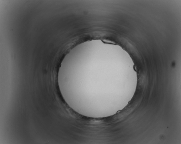 X0000102470283200808081016