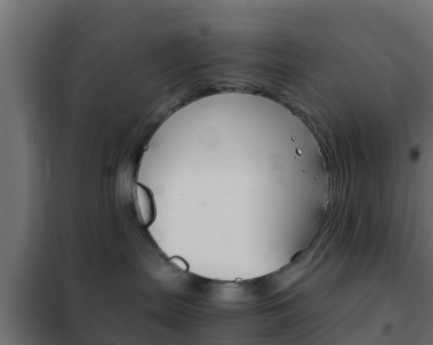 X0000102470287200808081016