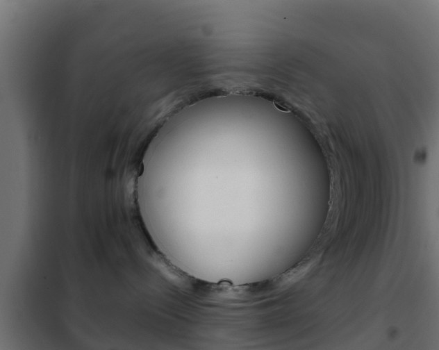 X0000102470288200808081016