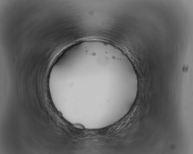 X0000102470289200808081015