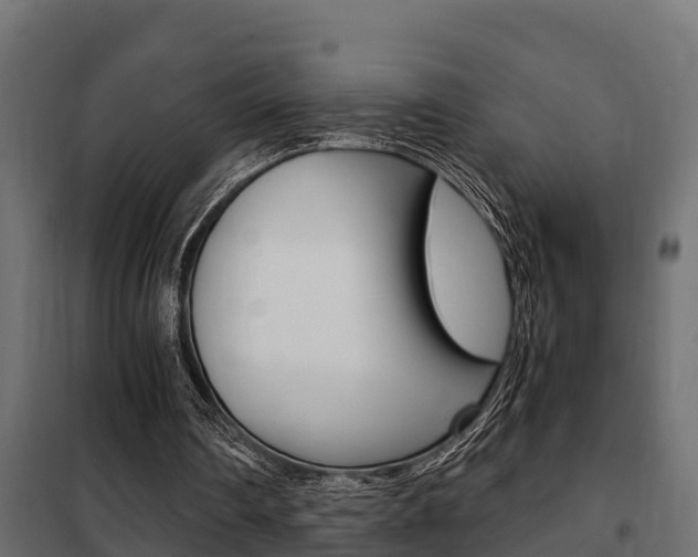 X0000102470290200808081015