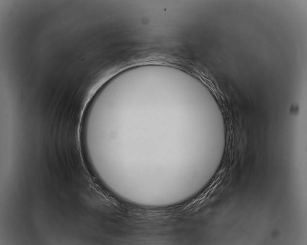 X0000102470292200808081015