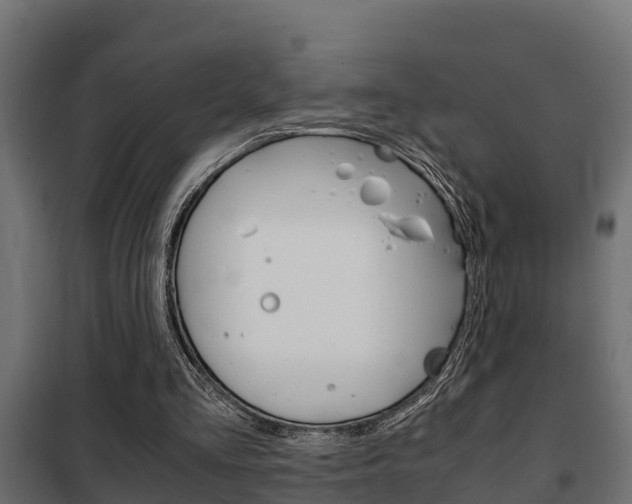 X0000102470293200808081015
