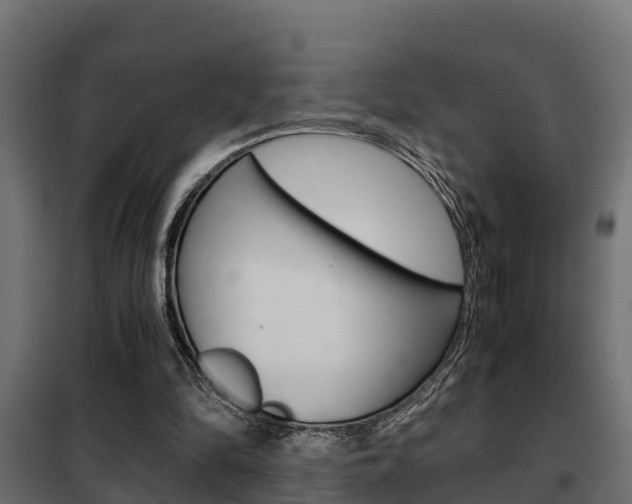 X0000102470294200808081015