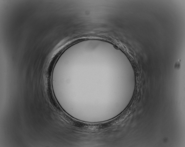 X0000102470295200808081015