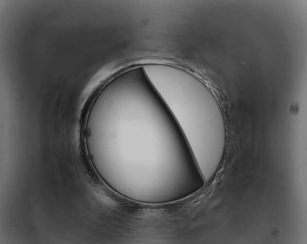 X0000102470296200808081015