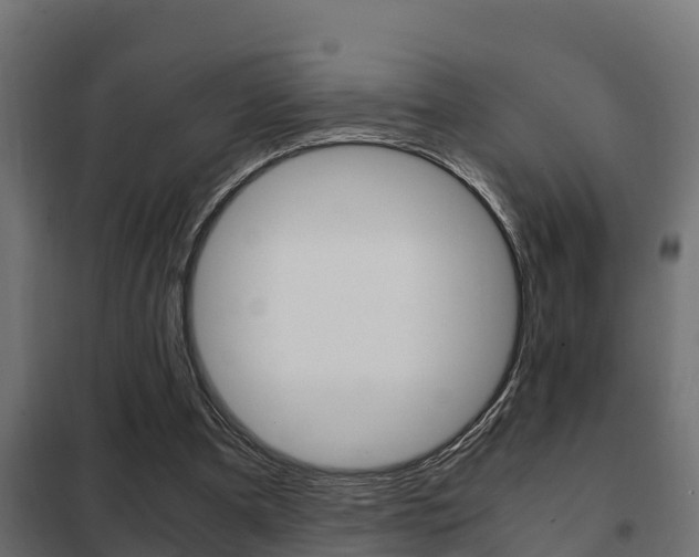 X0000102470297200808081015