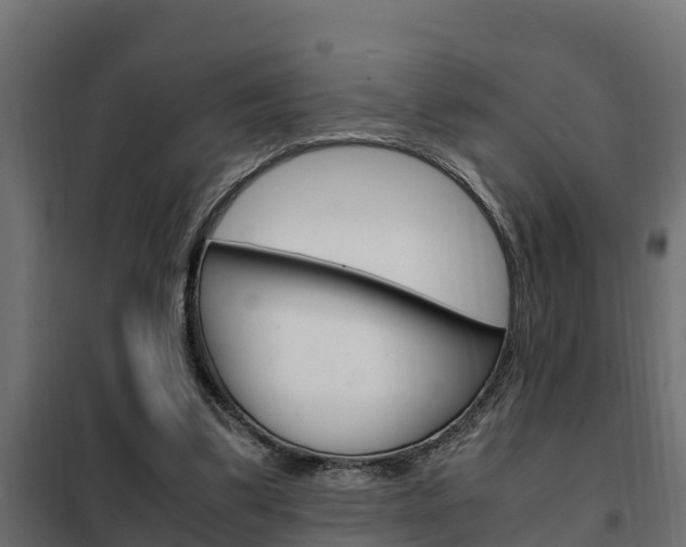 X0000102470299200808081015