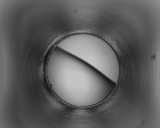 X0000102470300200808081015