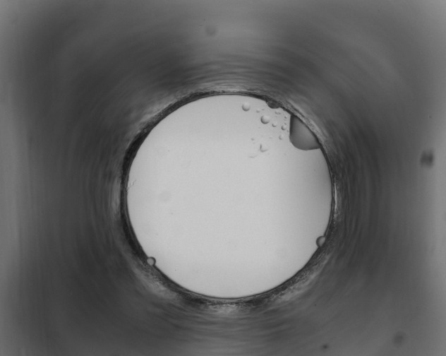 X0000102470301200808081015